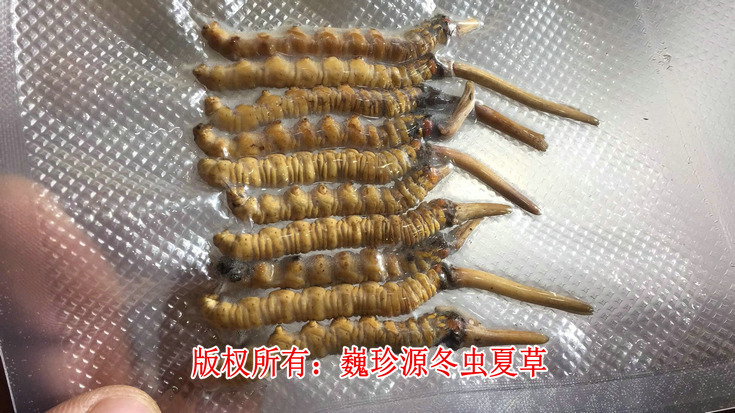 axĲ,rxĲгڳF锵ٵaxĲ